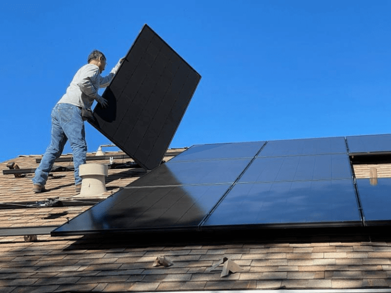 Taubenschutz für Photovoltaikanlagen