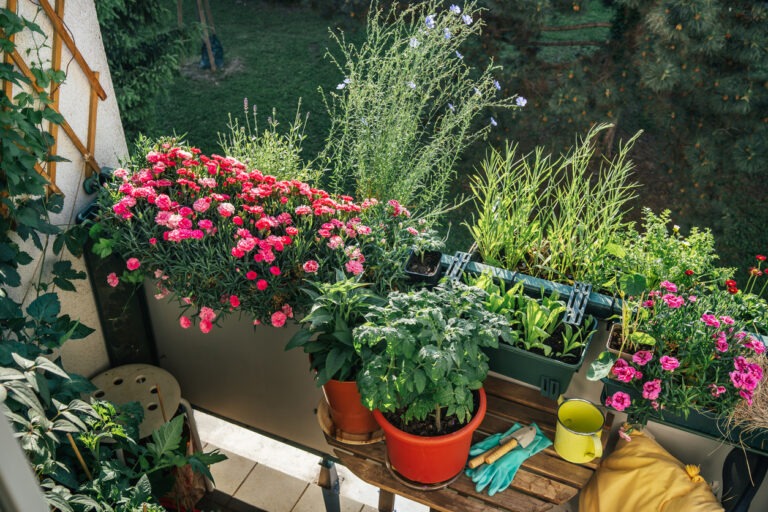 Ein üppig bepflanzter Balkon im Sommer.