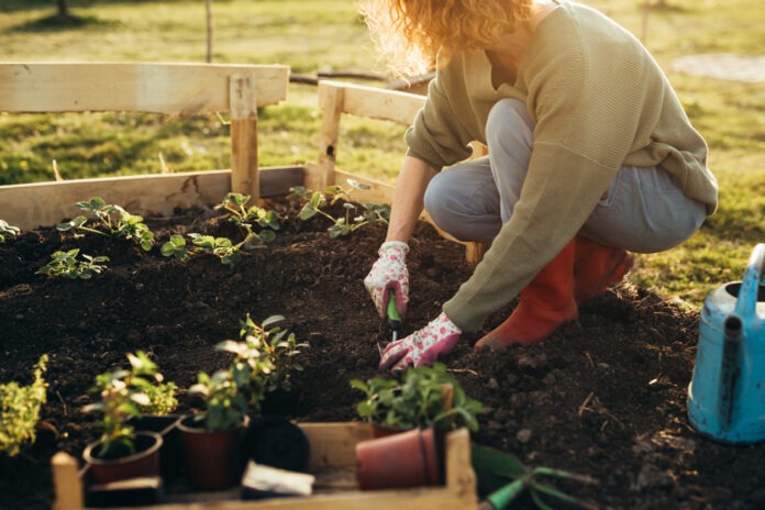 Eine Frau ist bei der Gartenarbeit an einem Beet.