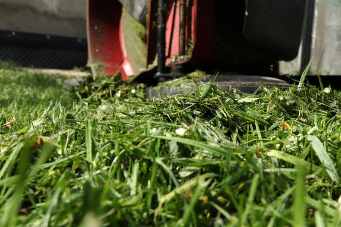 Ein Rasenabschnitt liegt auf dem gemähten Rasen mit dem Rasenmäher im Hintergrund.