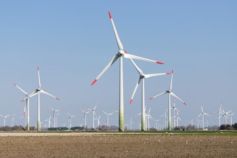 Ein großer Windpark steht auf einer Ackerfläche.