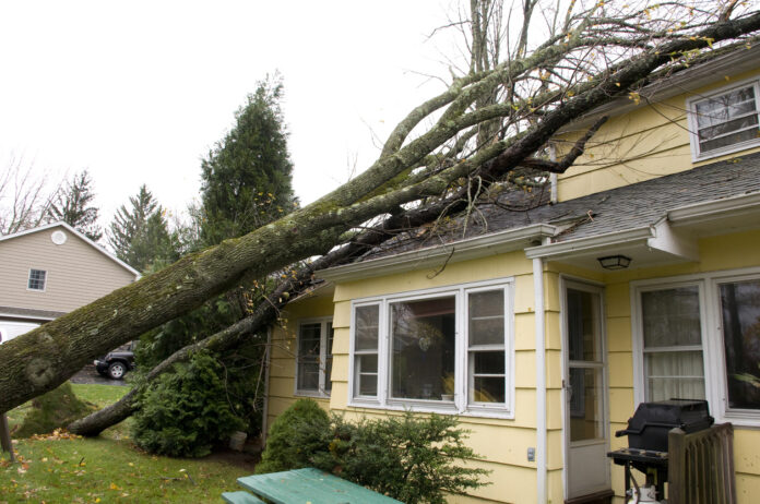 Ein Baum liegt auf einem Haus, nachdem er von einem Sturm umgeworfen wurde.