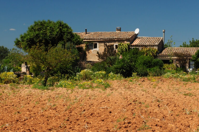 Eine alte Finca mit viel Land auf einem freien Platz.