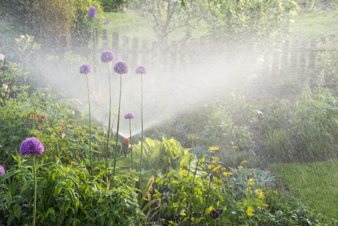 In einem blühenden Garten im Sommer werden Pflanzen automatisch bewässert.