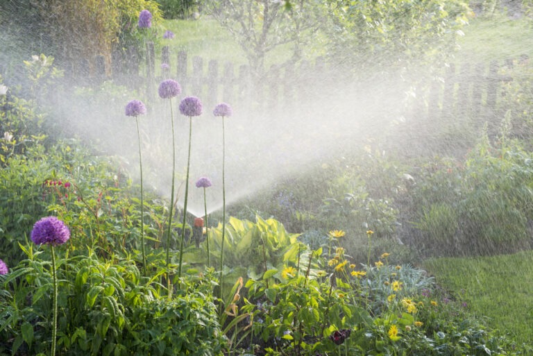 In einem blühenden Garten im Sommer werden Pflanzen automatisch bewässert.