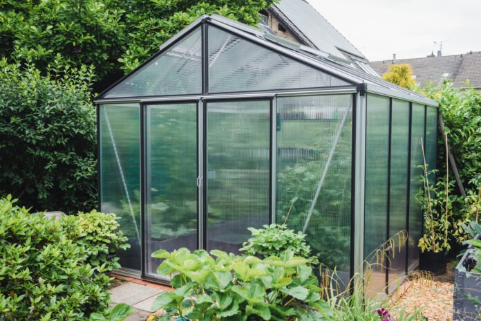 Ein Gewächshaus steht in voller Bepflanzung im Garten.