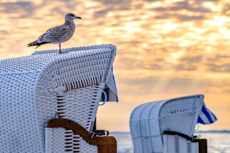 Plage zerstört Urlaubsidyll: Einheimische beziehen Stellung