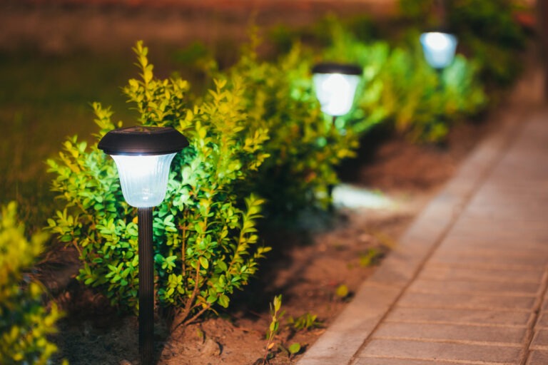 Eine Reihe Solarlampen steht zwischen kleinen Buchsbäumchen.